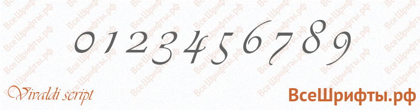 Шрифт Vivaldi script с цифрами