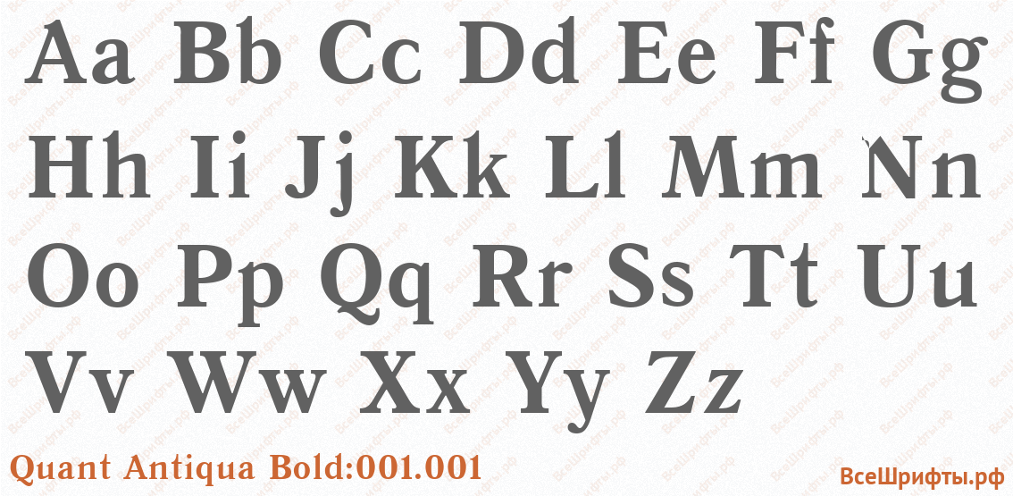 Шрифт Quant Antiqua Bold:001.001 с латинскими буквами