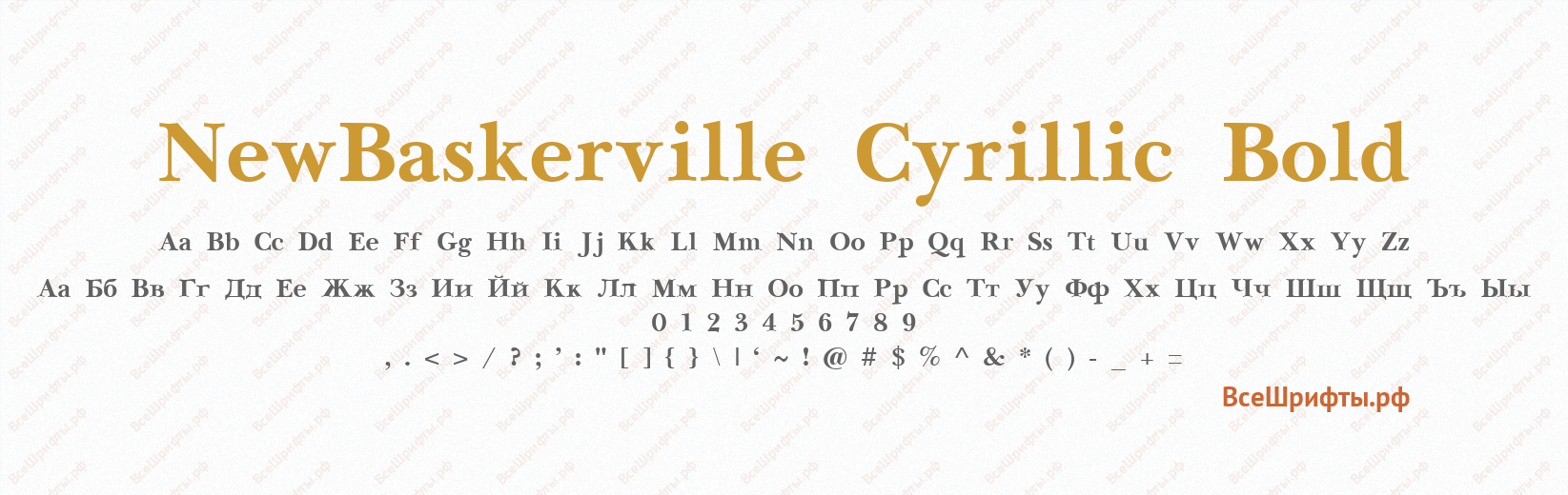 Шрифт NewBaskerville Cyrillic Bold