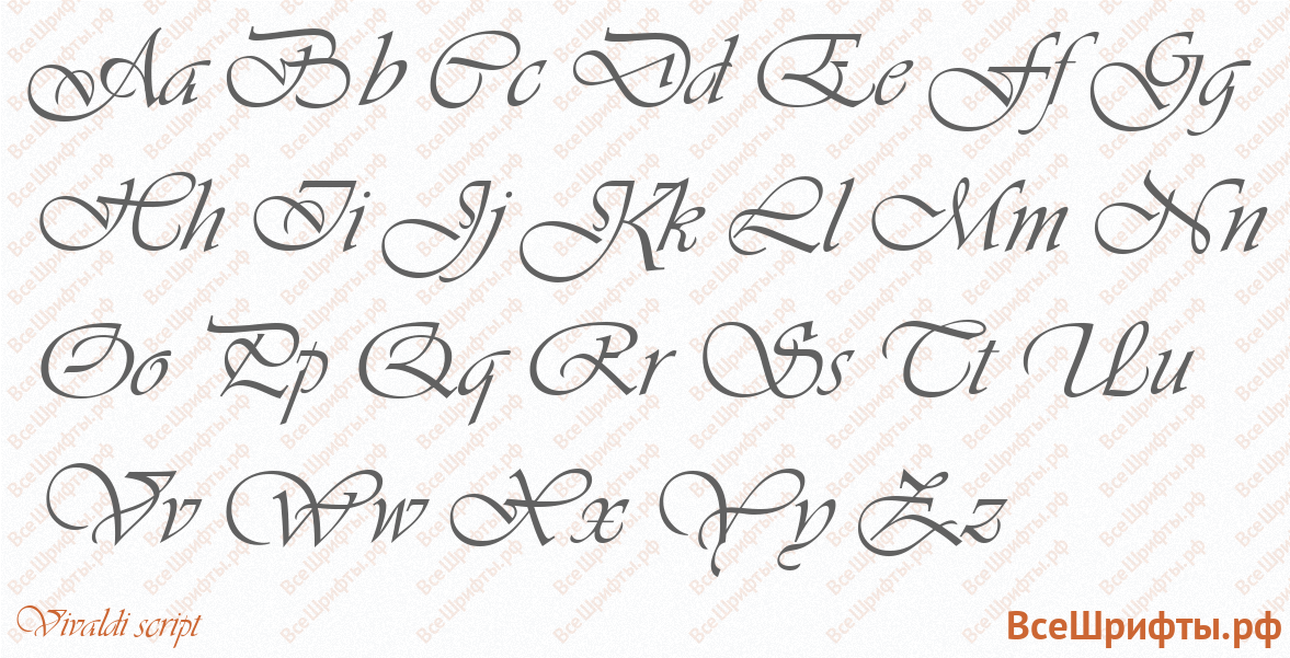 Шрифт Vivaldi script с латинскими буквами