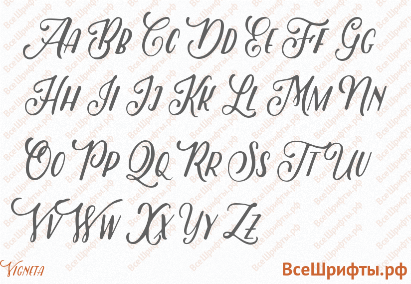 Шрифт Vigneta с латинскими буквами