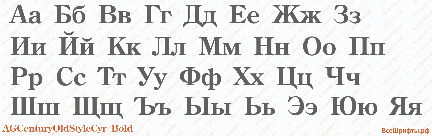 Шрифт AGCenturyOldStyleCyr Bold с русскими буквами