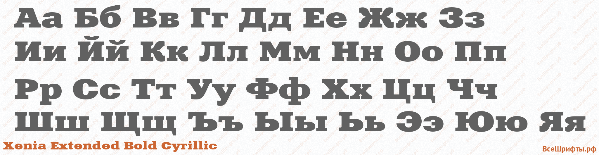Шрифт Xenia Extended Bold Cyrillic с русскими буквами