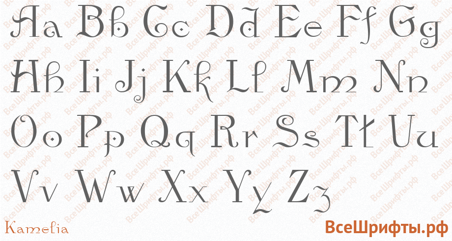 Шрифт Kamelia с латинскими буквами