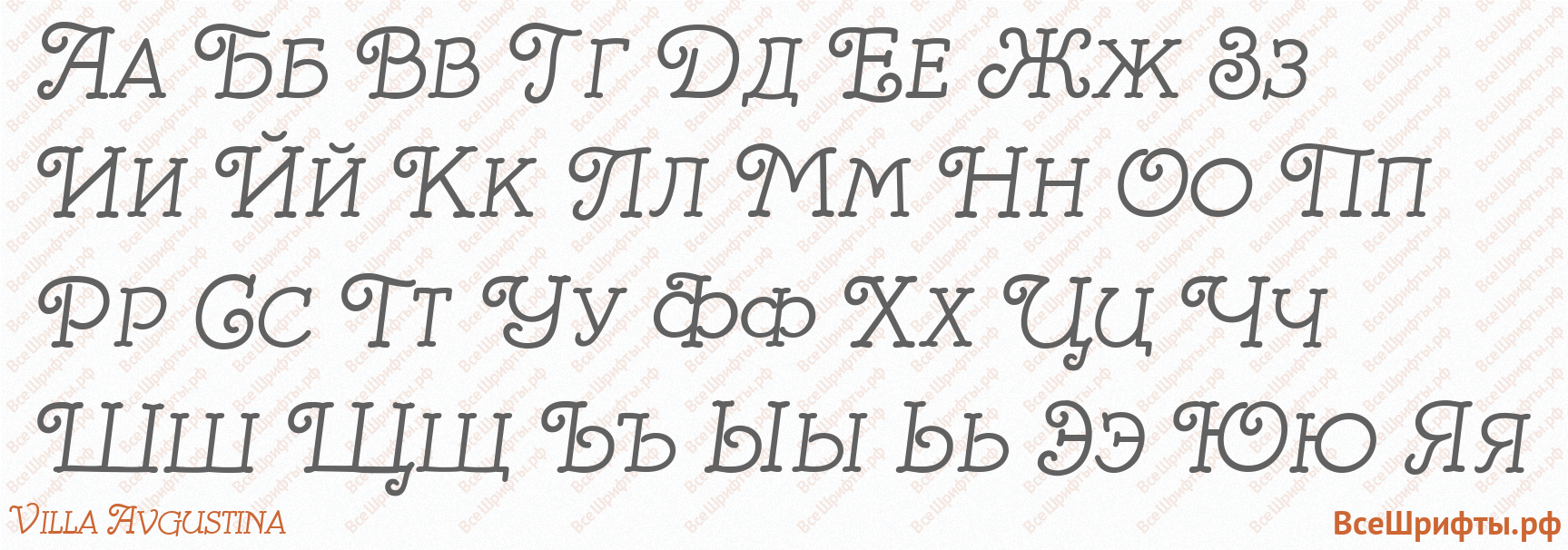 Шрифт Villa Avgustina с русскими буквами