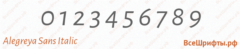Шрифт Alegreya Sans Italic с цифрами