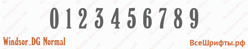 Шрифт Windsor_DG Normal с цифрами