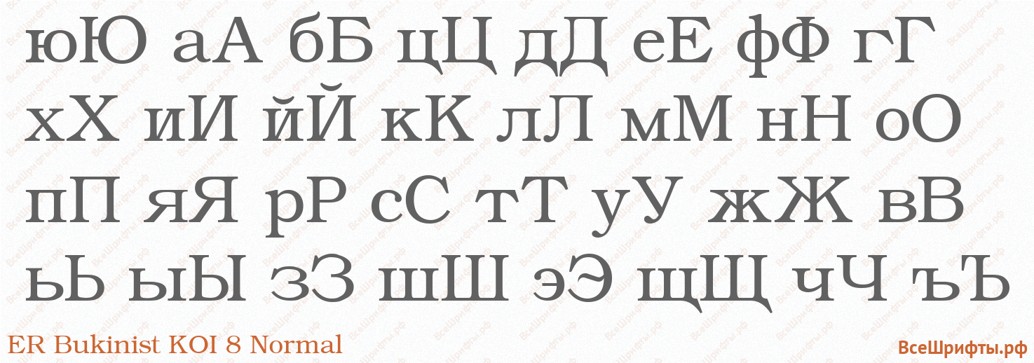 Шрифт ER Bukinist KOI 8 Normal с русскими буквами