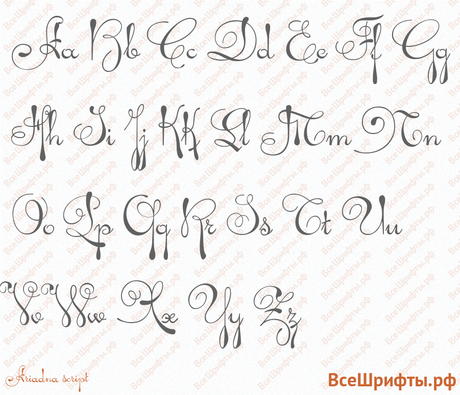 Шрифт Ariadna script с латинскими буквами