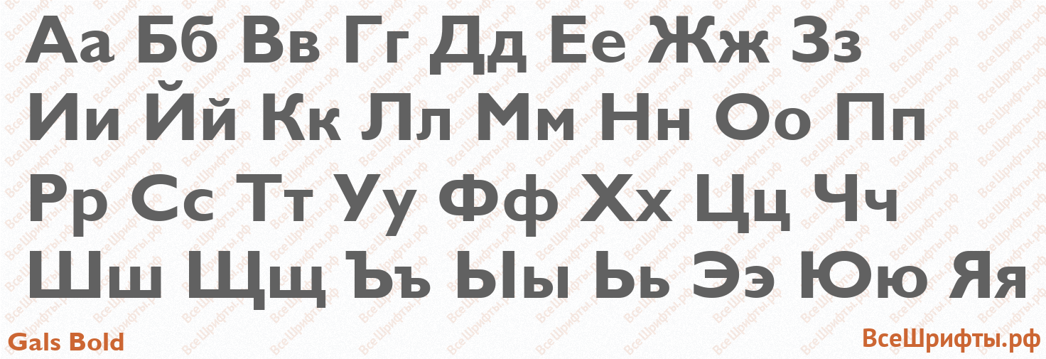 Шрифт Gals Bold с русскими буквами