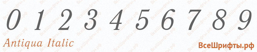 Шрифт Antiqua Italic с цифрами