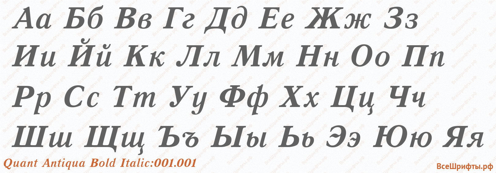 Шрифт Quant Antiqua Bold Italic:001.001 с русскими буквами