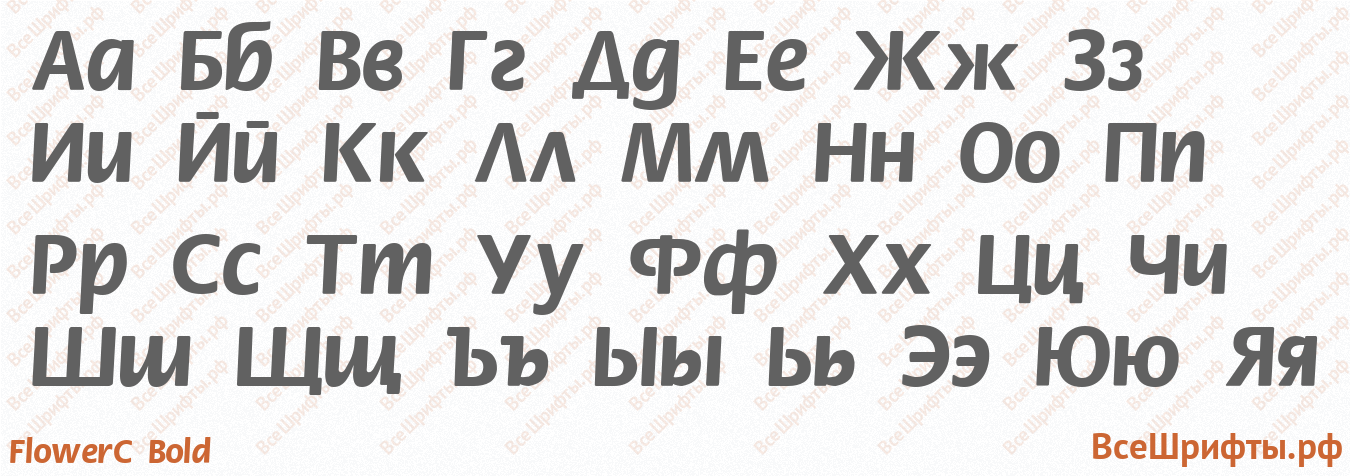 Шрифт FlowerC Bold с русскими буквами