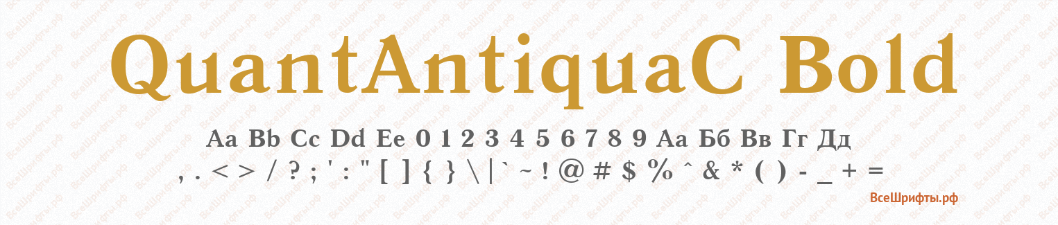 Шрифт QuantAntiquaC Bold