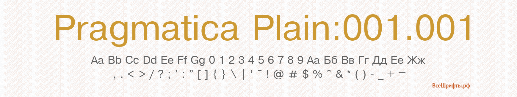 Шрифт Pragmatica Plain:001.001