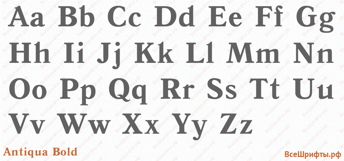 Шрифт Antiqua Bold с латинскими буквами