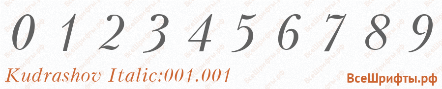 Шрифт Kudrashov Italic:001.001 с цифрами