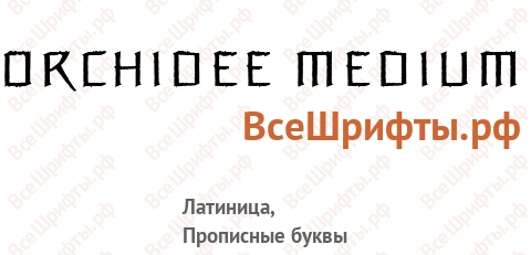 Шрифт Orchidee Medium