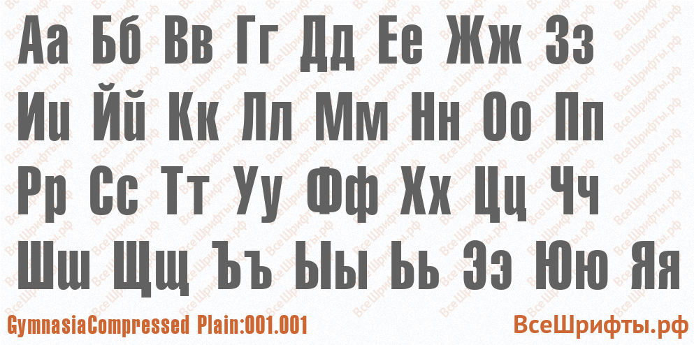 Шрифт GymnasiaCompressed Plain:001.001 с русскими буквами