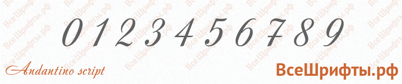 Шрифт Andantino script с цифрами
