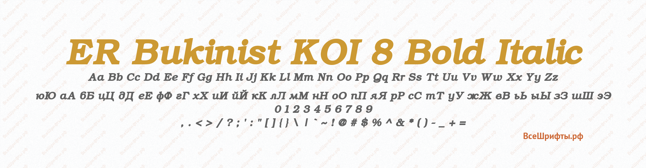 Шрифт ER Bukinist KOI 8 Bold Italic