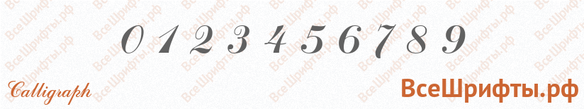 Шрифт Calligraph с цифрами