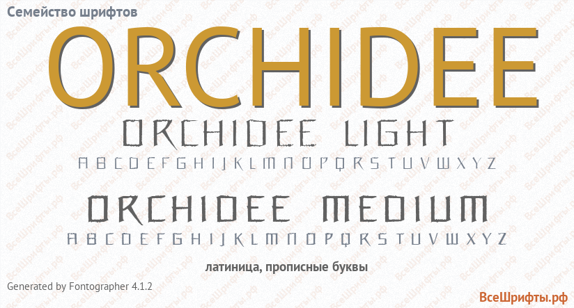 Семейство шрифтов ORCHIDEE