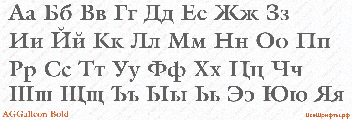 Шрифт AGGalleon Bold с русскими буквами