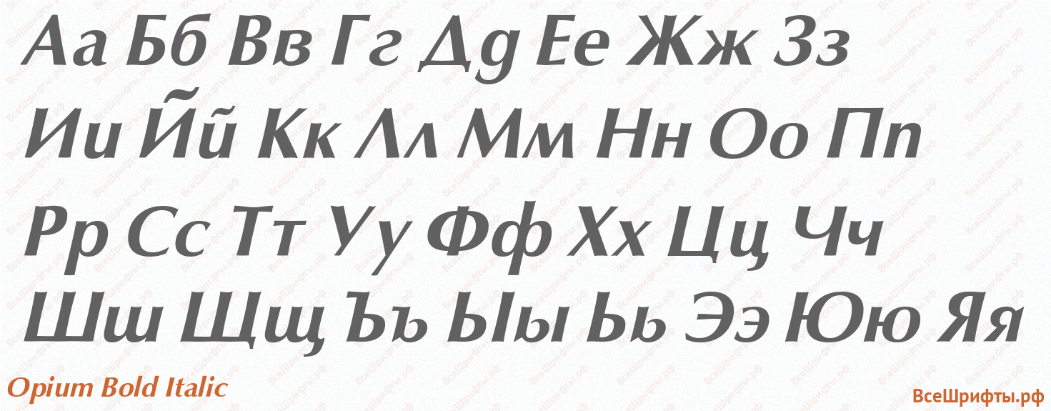Шрифт Opium Bold Italic с русскими буквами