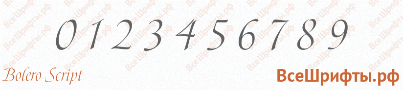 Шрифт Bolero Script с цифрами