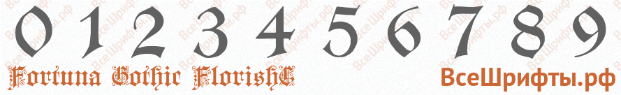 Шрифт Fortuna Gothic FlorishC с цифрами