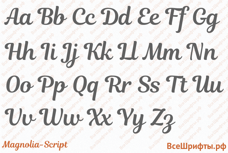 Шрифт Magnolia-Script с латинскими буквами