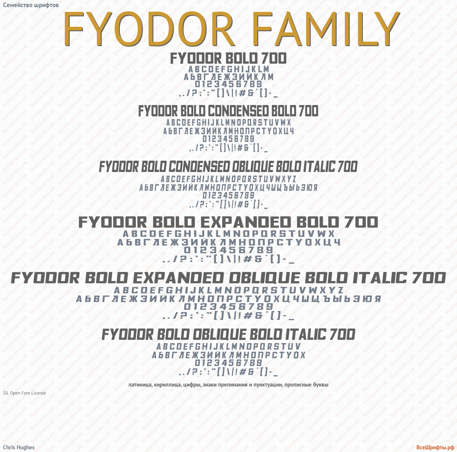 Семейство шрифтов Fyodor Family