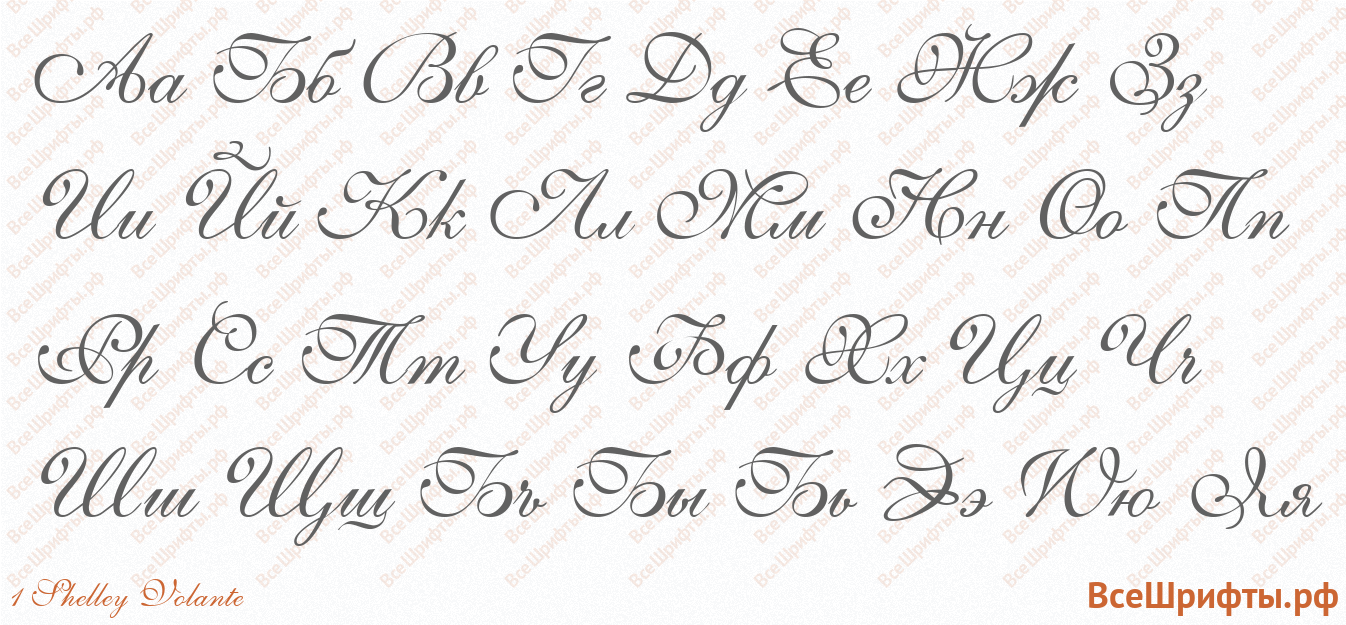 Шрифт 1 Shelley Volante с русскими буквами