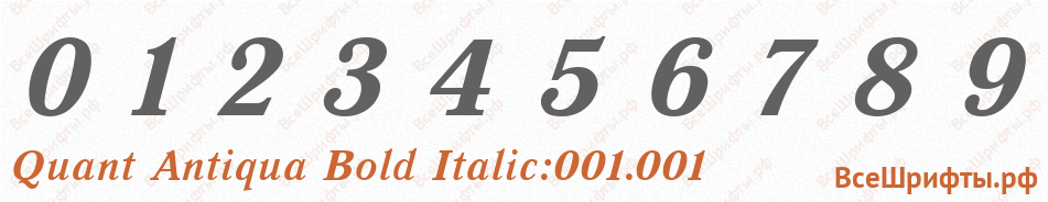 Шрифт Quant Antiqua Bold Italic:001.001 с цифрами