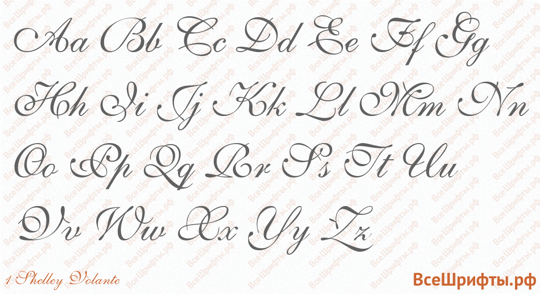 Шрифт 1 Shelley Volante с латинскими буквами