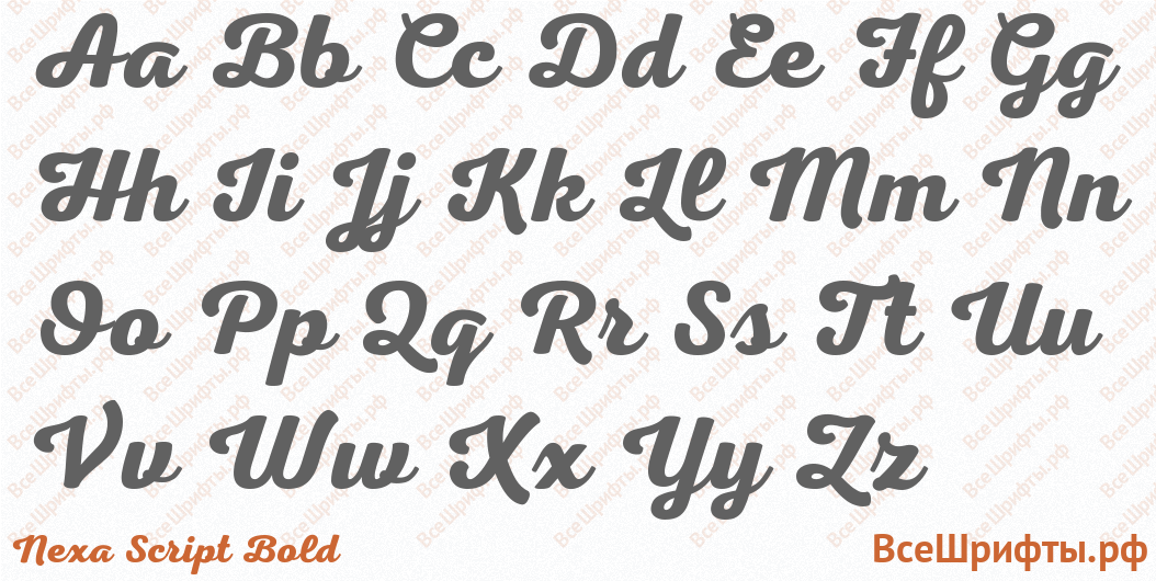 Шрифт Nexa Script Bold с латинскими буквами