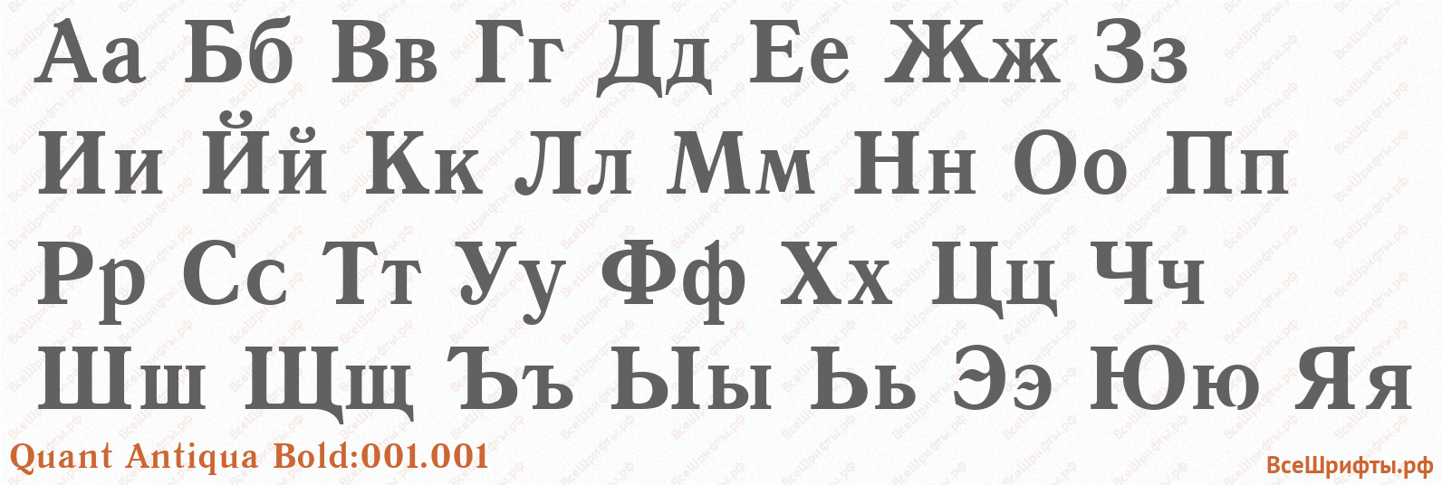 Шрифт Quant Antiqua Bold:001.001 с русскими буквами