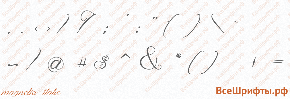 Шрифт Magnolia Italic со знаками препинания и пунктуации