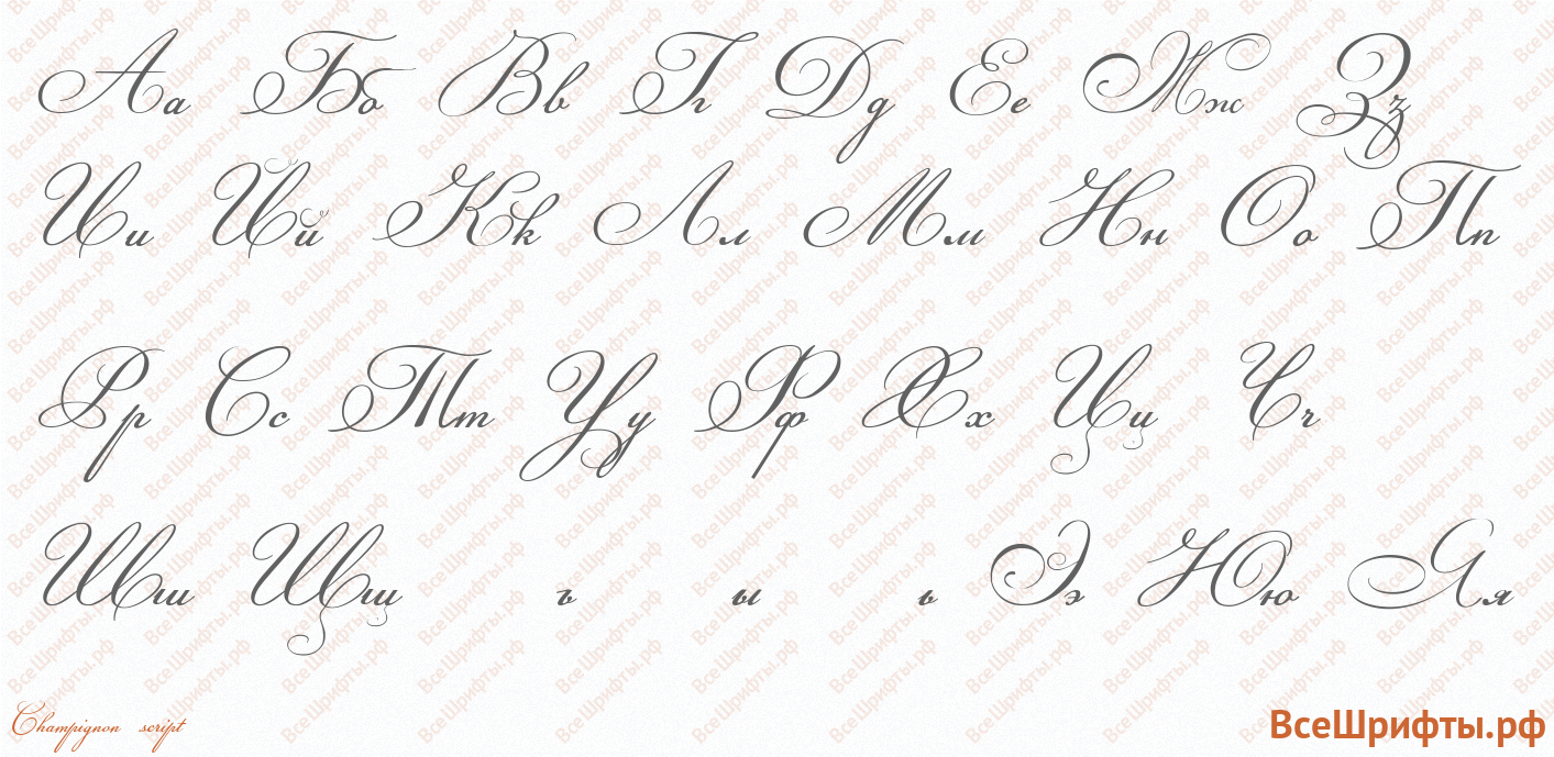 Шрифт Champignon script с русскими буквами