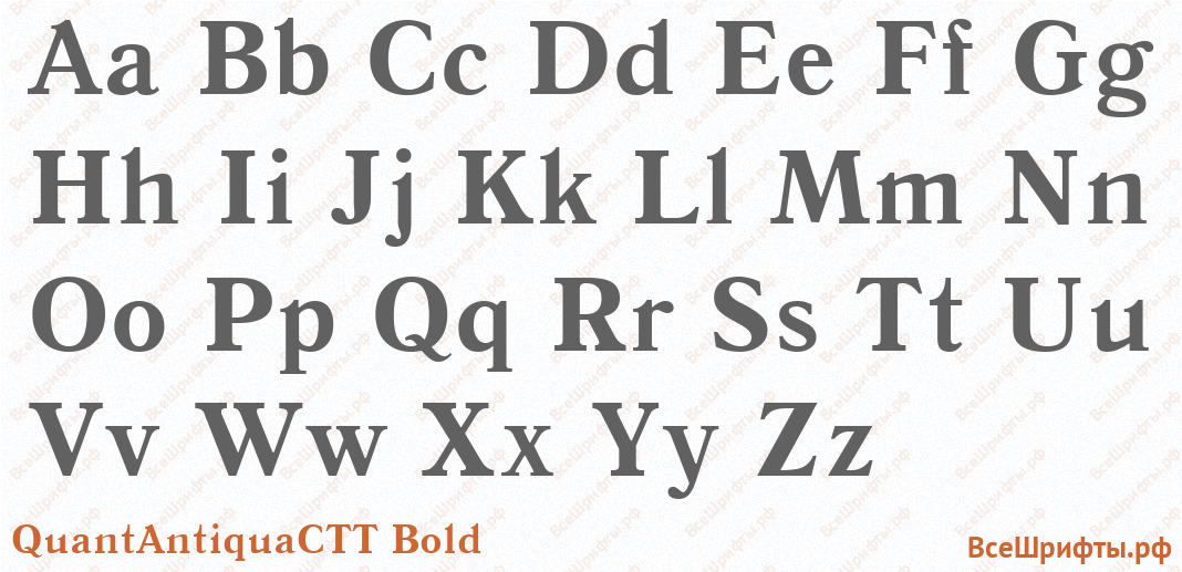 Шрифт QuantAntiquaCTT Bold с латинскими буквами