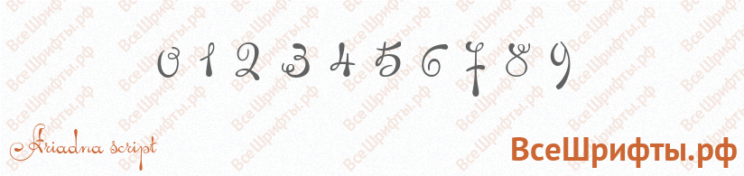 Шрифт Ariadna script с цифрами