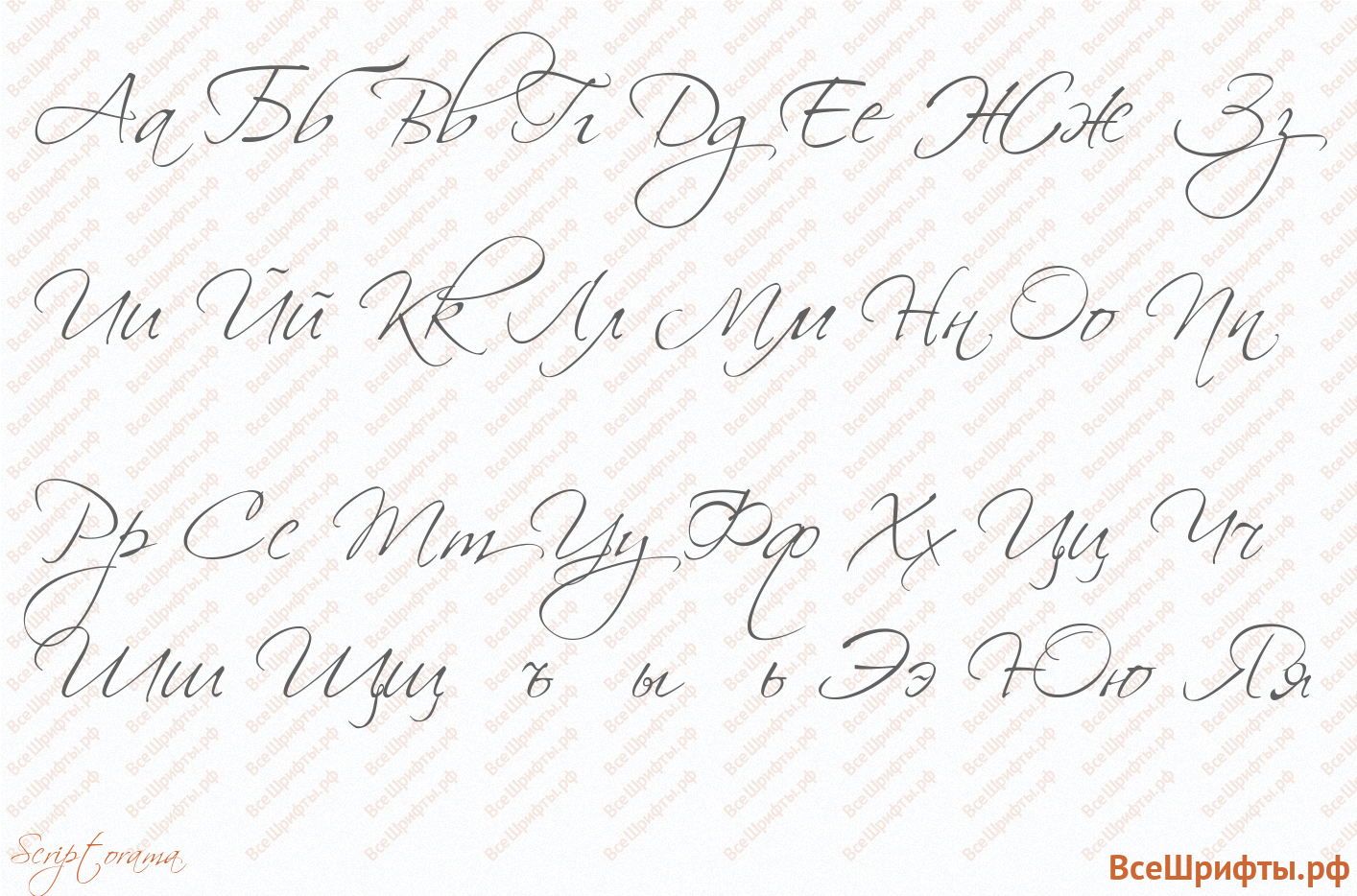 Шрифт Scriptorama с русскими буквами