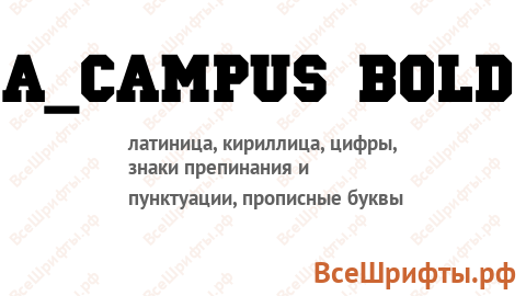 Шрифт a_Campus Bold