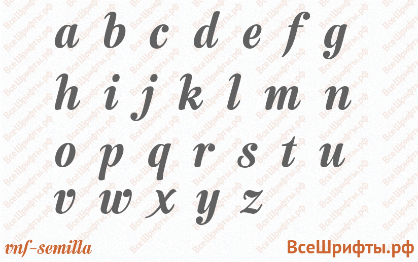 Шрифт VNF-Semilla с латинскими буквами