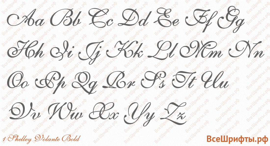 Шрифт 1 Shelley Volante Bold с латинскими буквами
