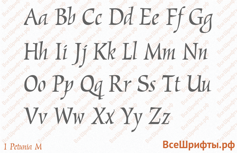 Шрифт 1 Petunia M с латинскими буквами