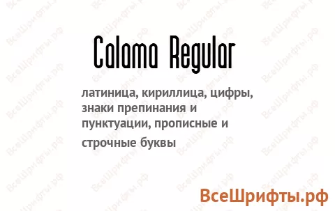 Шрифт Calama Regular