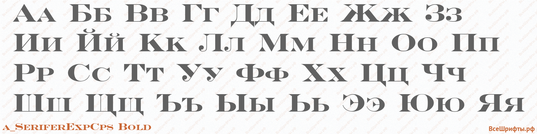 Шрифт a_SeriferExpCps Bold с русскими буквами