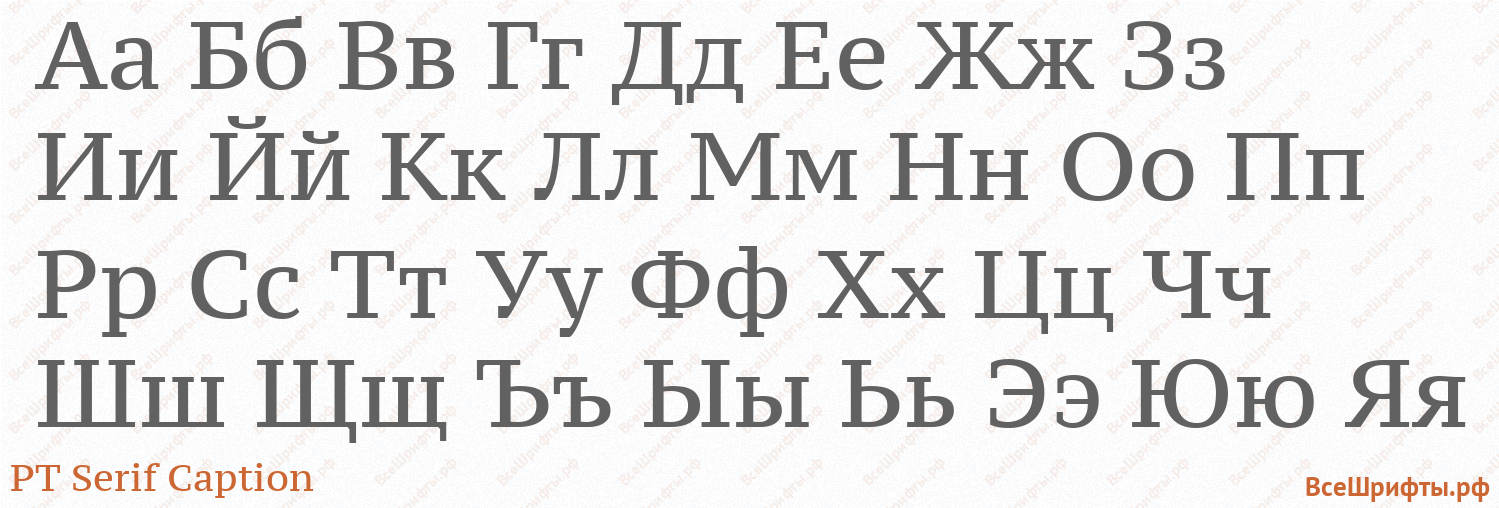 Шрифт PT Serif Caption с русскими буквами